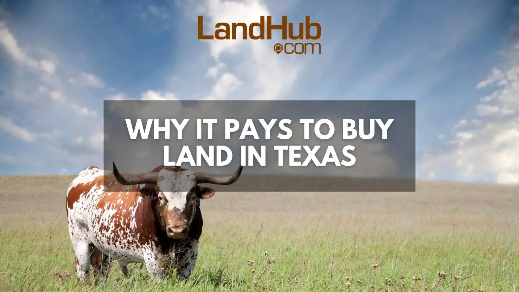 why it pays to buy land in texas