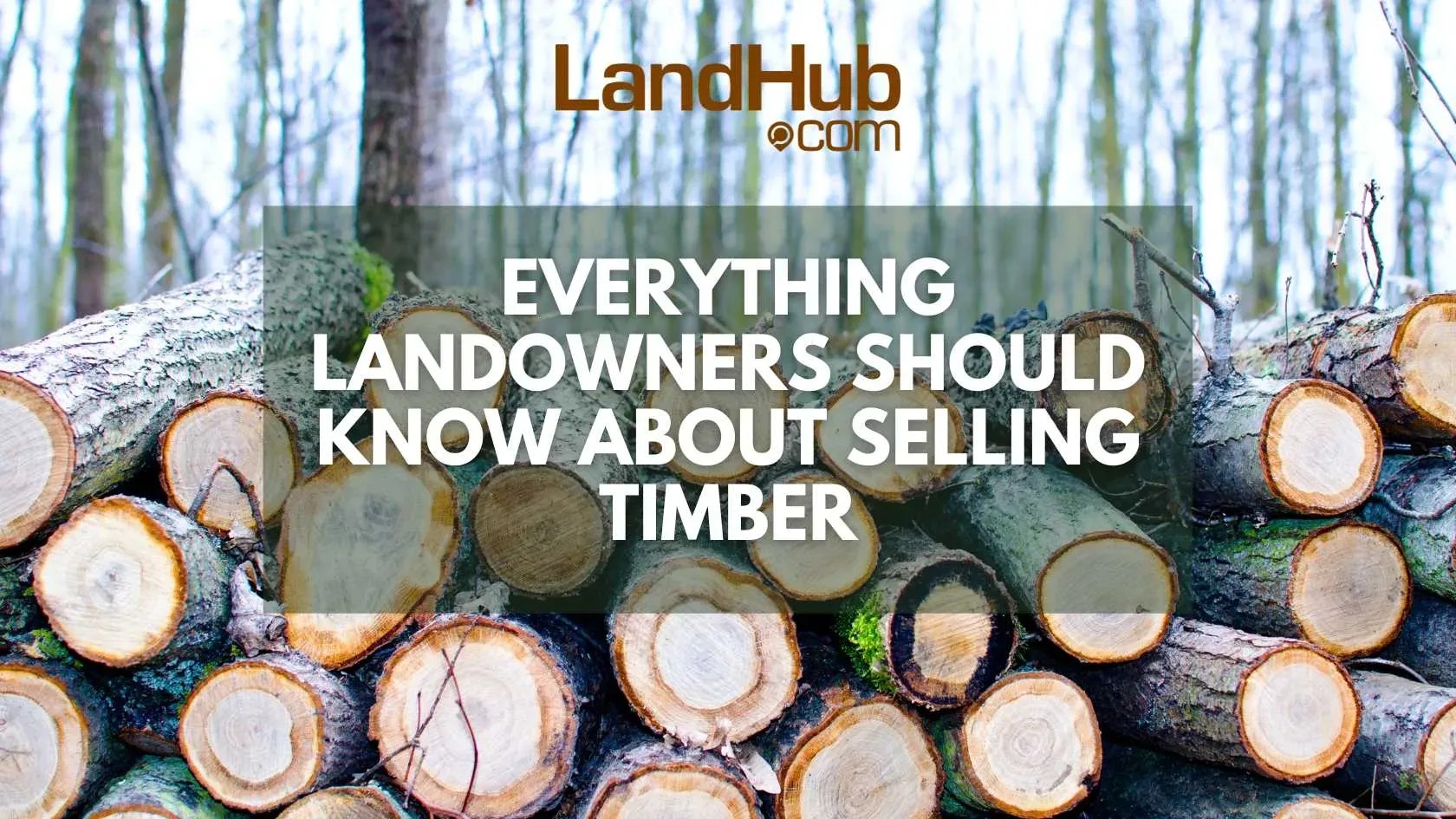 Everything Landowners Should Know About Selling Timber