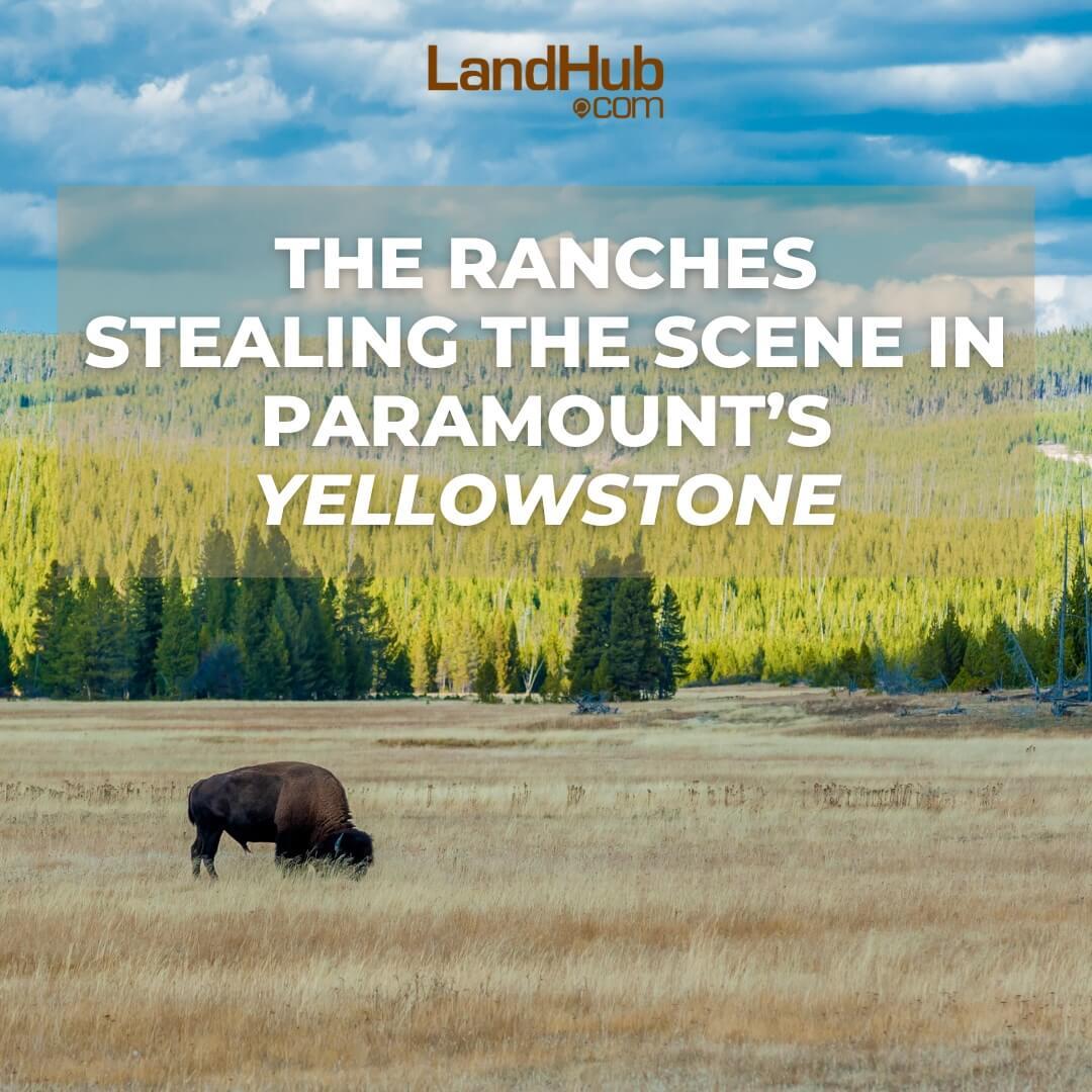 the ranches stealing the scene in paramount's yellowstone