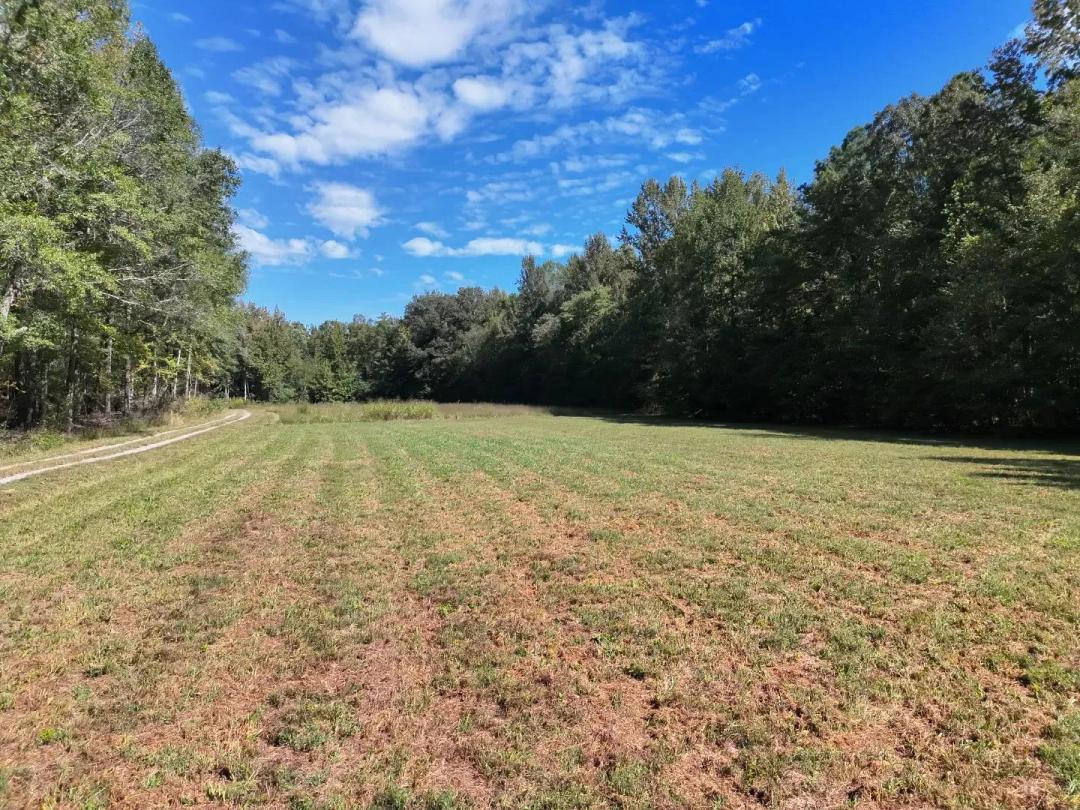 13.5 Acres with an Off-Grid Cabin in Hardeman County, TN