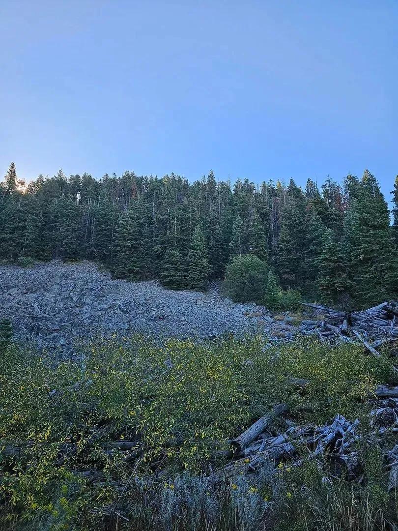 160 Acres Above Goose Lake Valley
