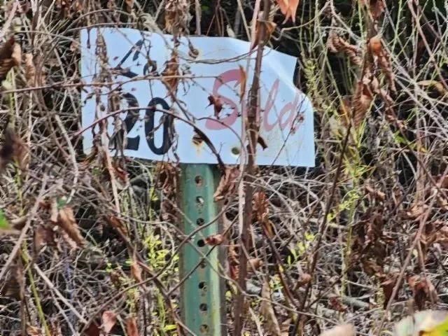 10 AC WITH MTN VIEW / SECLUDED & PRIVATE / SECURITY GATE ACCESS FOR YOUR PRIVACY & SECURITY.