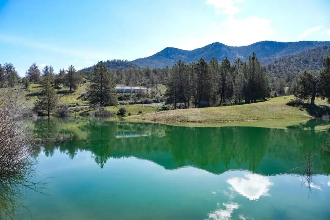 Blacktail Hills Retreat
