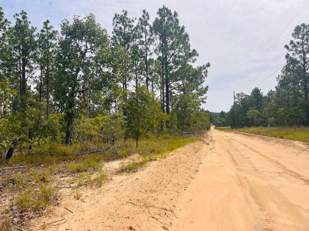 5.98 Acres at 375 Village Lane
