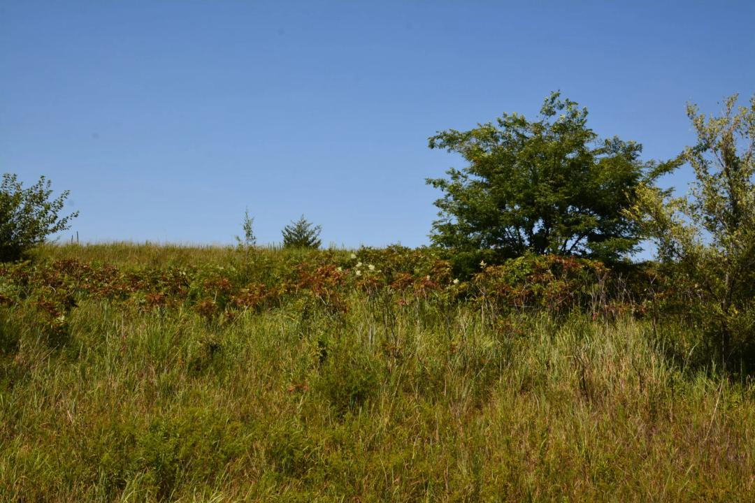 Raeta Estates Lot 3