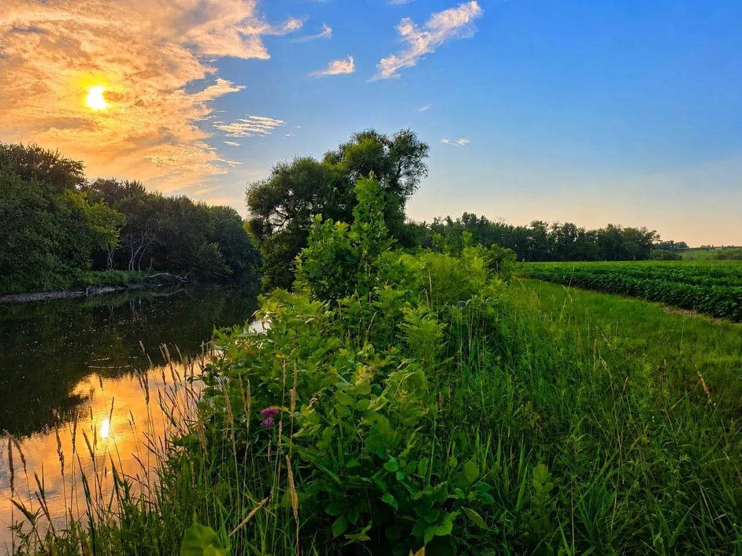Listing #19588 - 84.63 acres in Humboldt County, IA