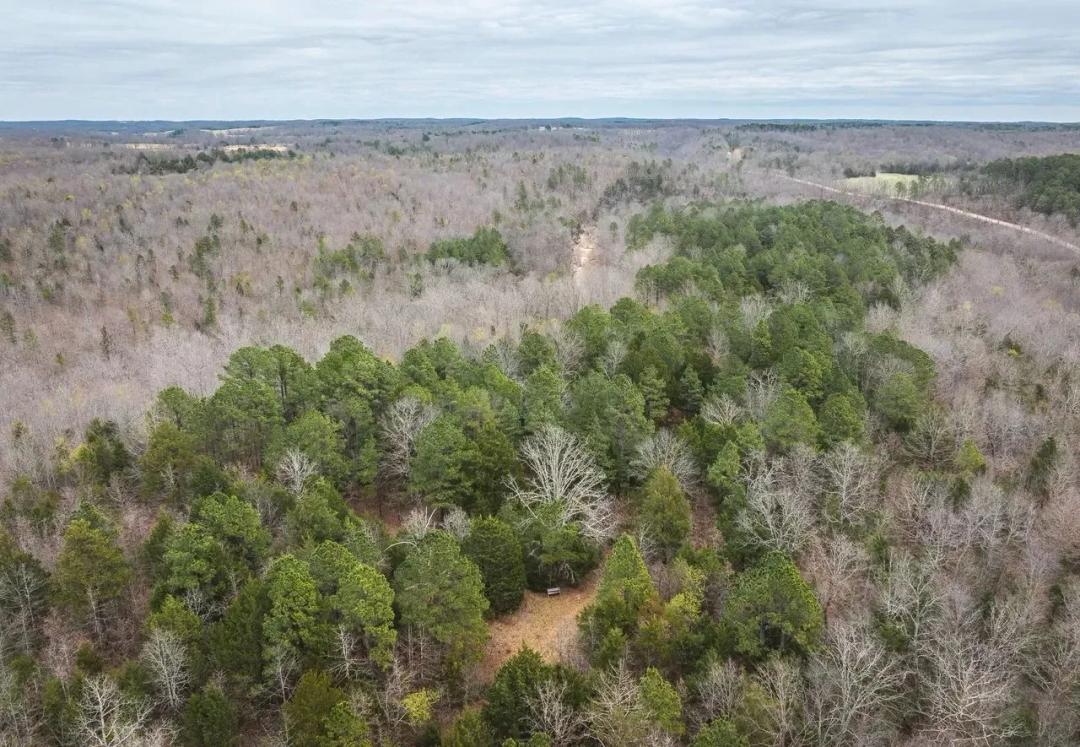 11 Point Acres