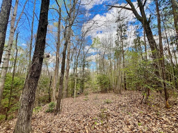 UNDER CONTRACT!!  19 acres of Residential and Timberland Land For Sale in Warren County NC!