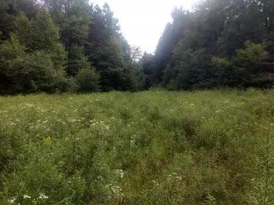 Doe Valley Hideaway