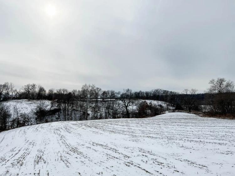 Pike County, Illinois 78 Acres For Sale