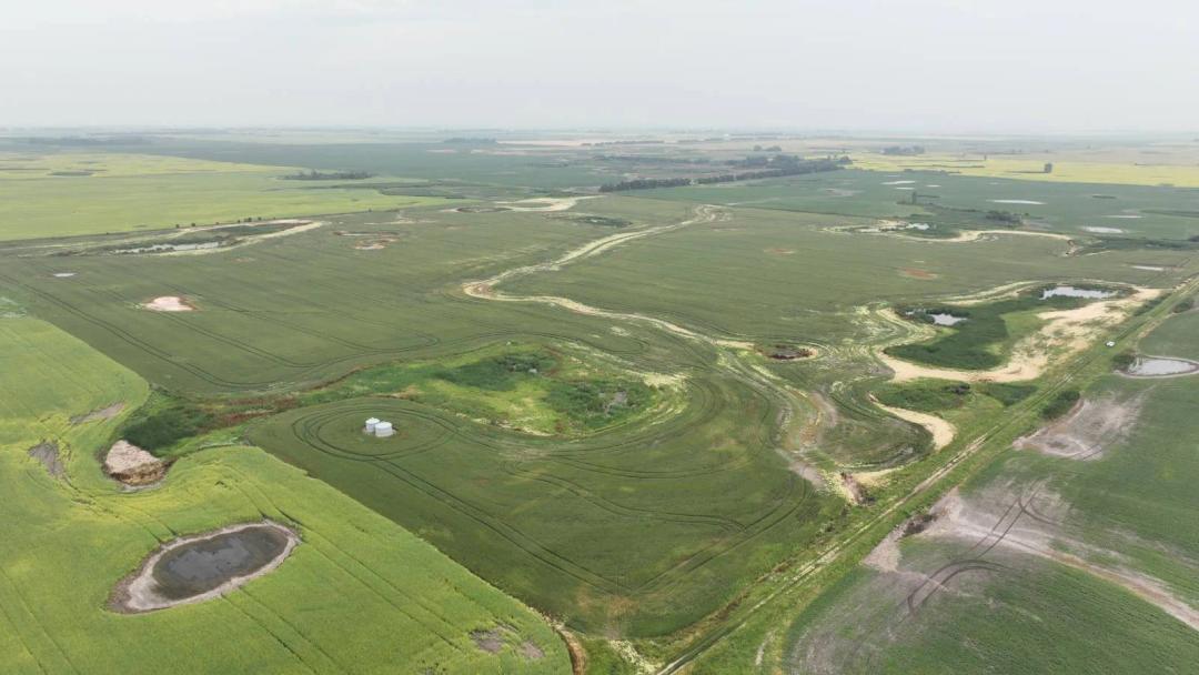 Rolette County, ND Land Auction - 160± Acres