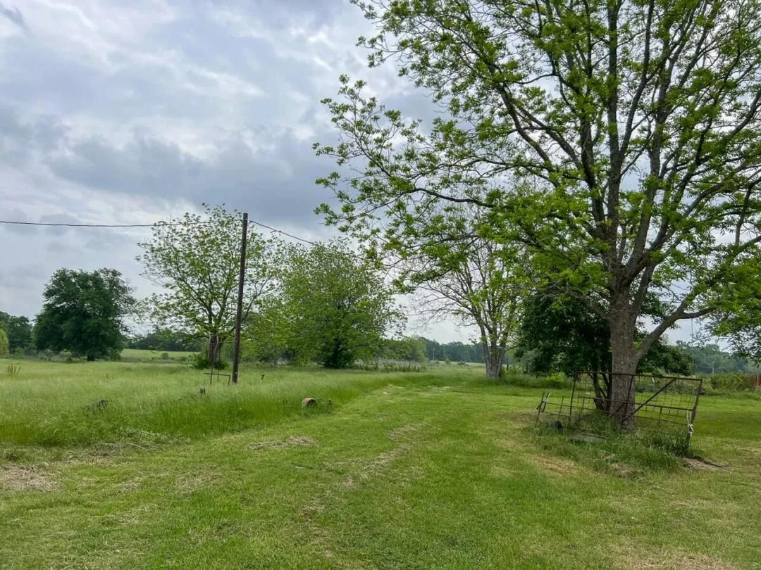 25 Acres | T-21 | County Road 3630