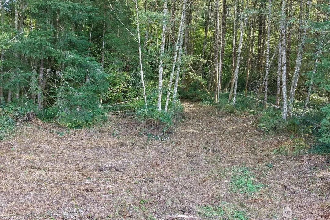 20 Acres of Private Mountain Land in Camas, WA for Sale