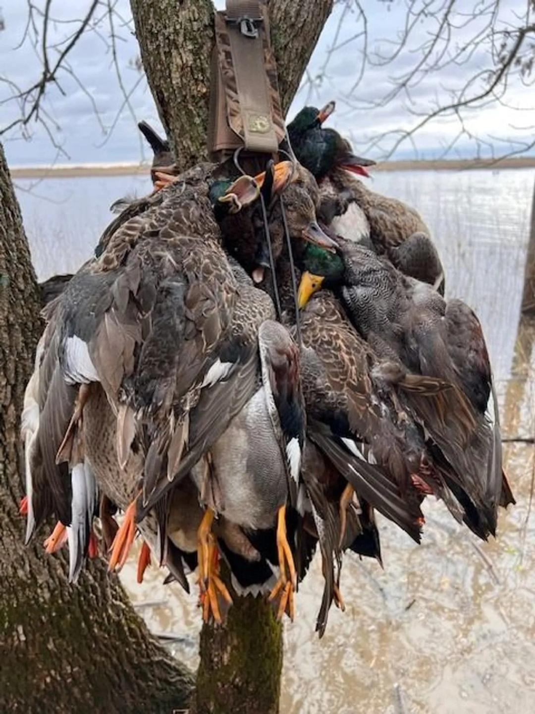 Beck & Call Hunting Club, 1013 Acres, Prime Hunting/Recreational/Agricultural Land
