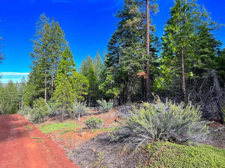 Breathtaking Views & Bliss: 0.93 Acres for $143/mo - Easy Owner Financing!