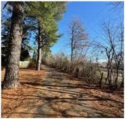 1.2 Acres in Madison County at 167 Lakeview Drive in Madison, MS 