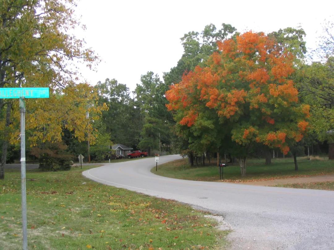 Final Arkansas LAND LIQUIDATION 50% off All Arkansas parcels