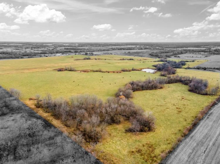 143 Acre Cattle Ranch Johnson County MO