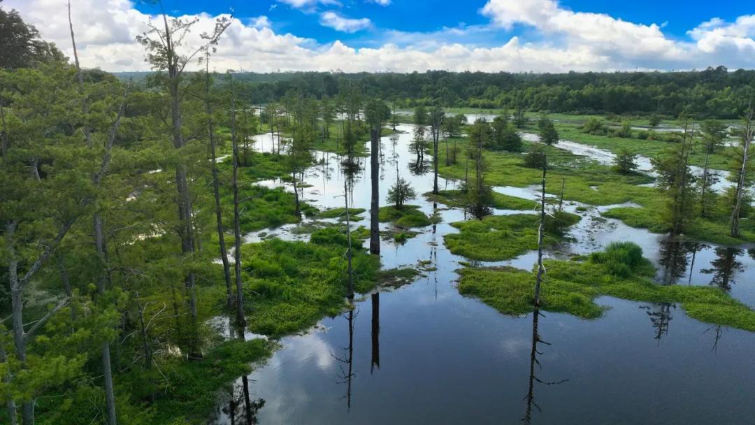 Tiger Back Lodge, Little River County, 670 Acres +/-