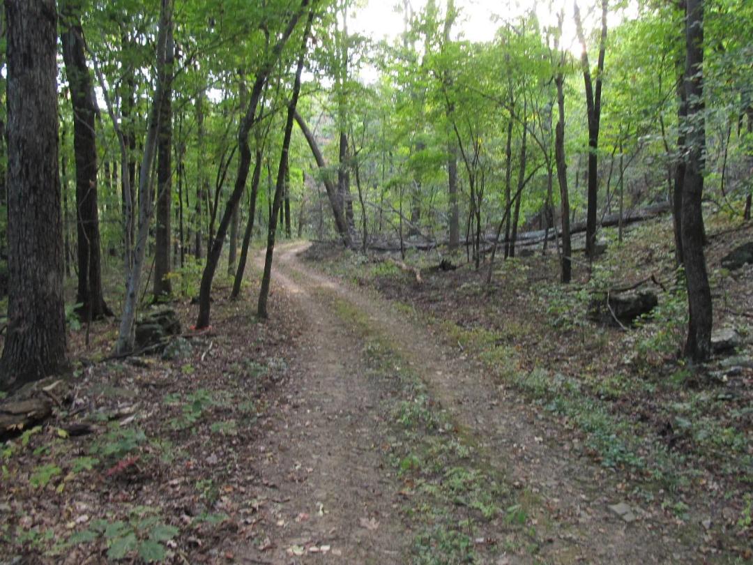 40.00 Acres at 5190 Madison
