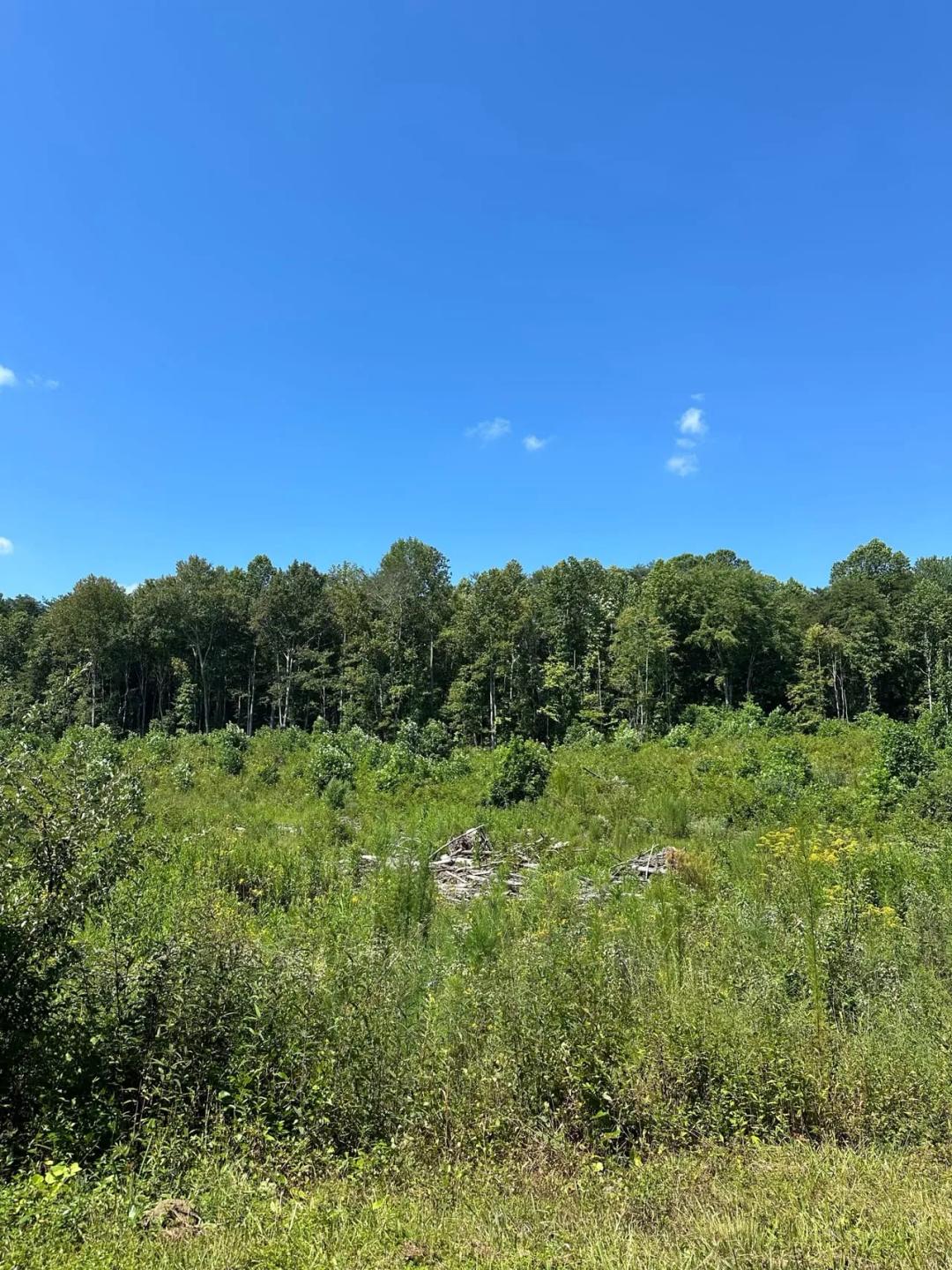 5.12+/-acres Unrestricted Property