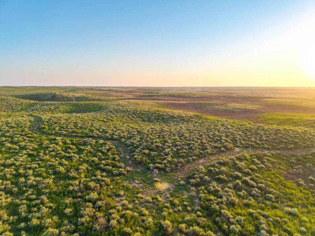 High Plains Hunting Farm