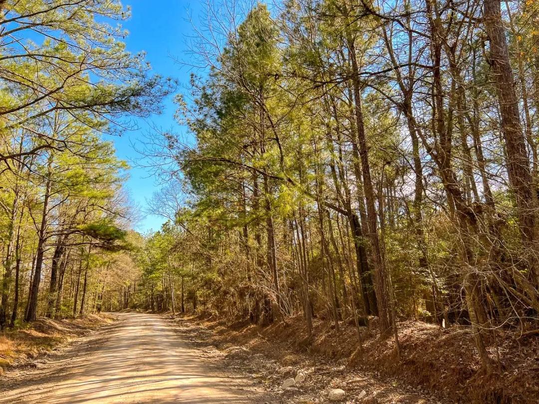 27 Acres | Paces Creek | T3077-13