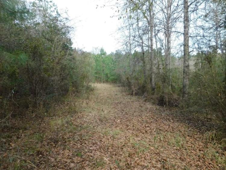 13 Acre Amite County Tract For Sale
