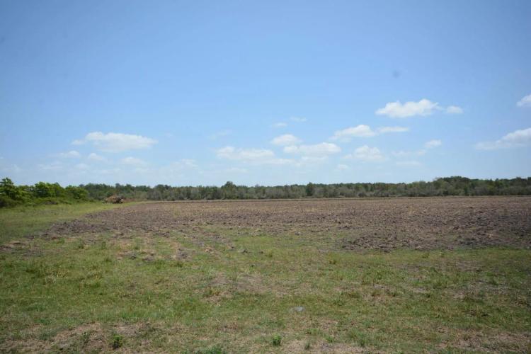 399 Acres of Recreational Property - Double Gum Island Ranch