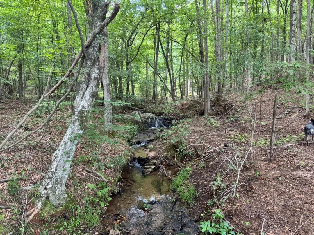 Great land opportunity in Heard County