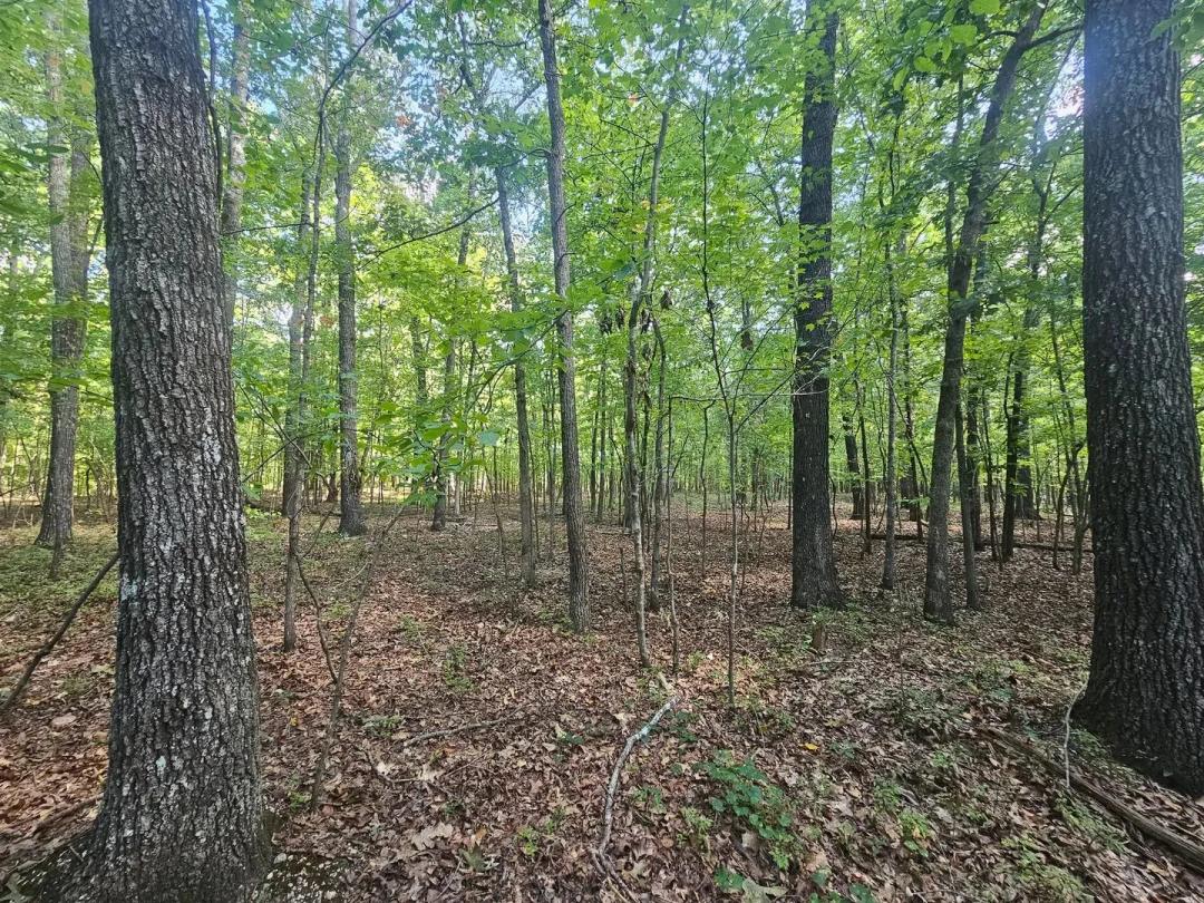 12ac. Toney Dr. Attalla, AL