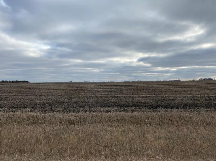 638 Acres Kossuth County - 6 Tracts