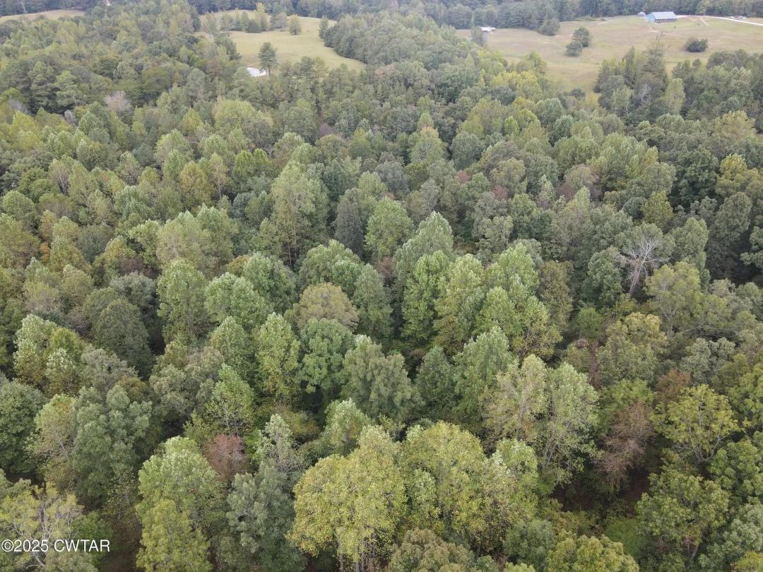 0 McEarl Ln Reagan, TN