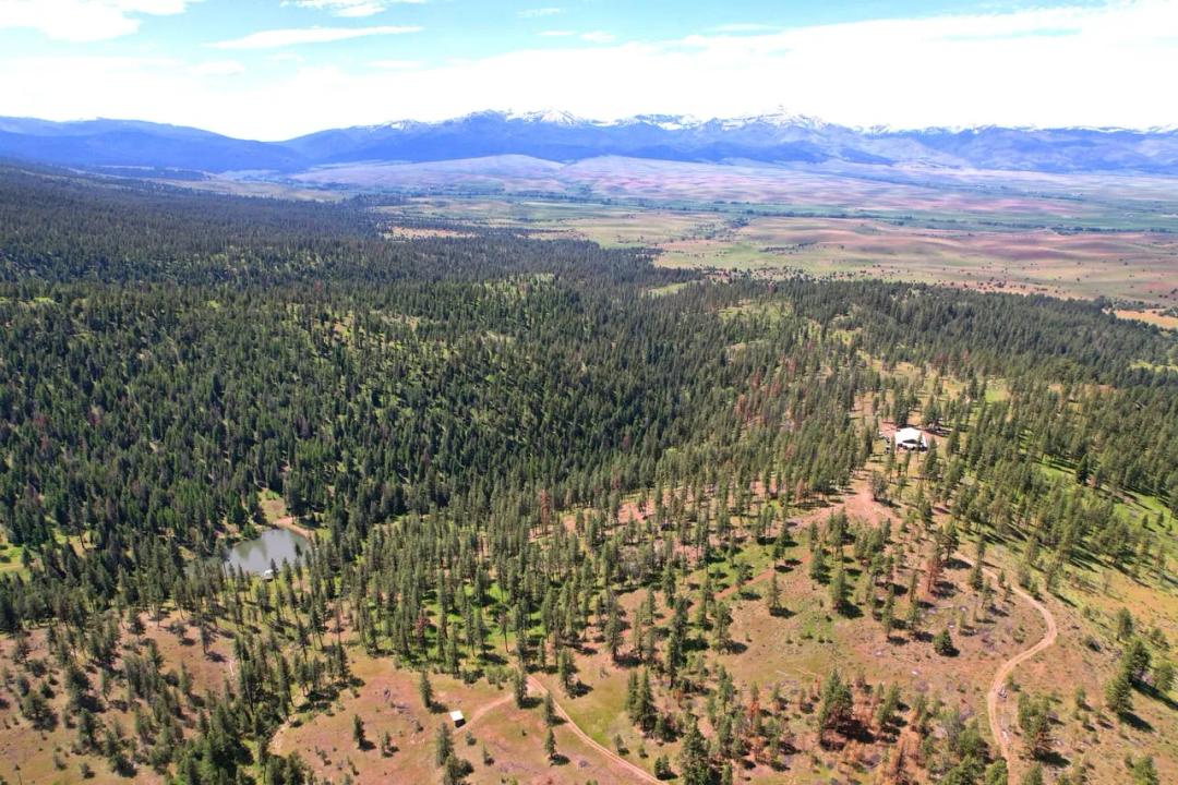C4Ever Ranch