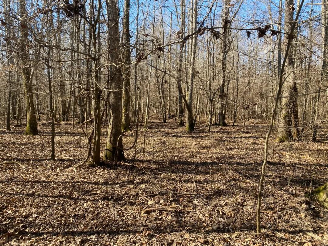 422.00 Acres at 3000 Hwy 167 N