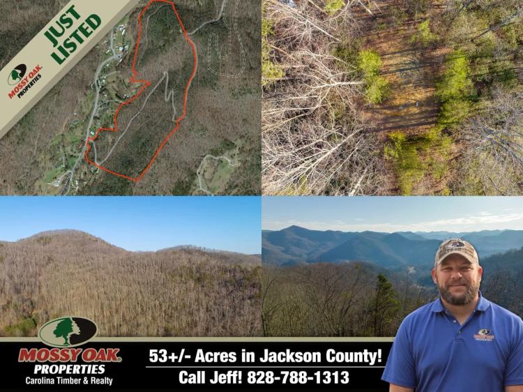 53+/- Acres in Jackson County!