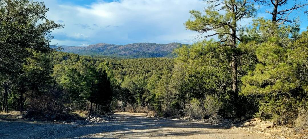 Views and Trees - Large Lot on a Hill