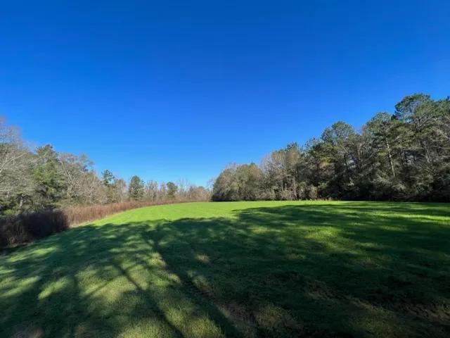 400 Acres of Prime Hunting and Timberland/ Lawrence County, MS 