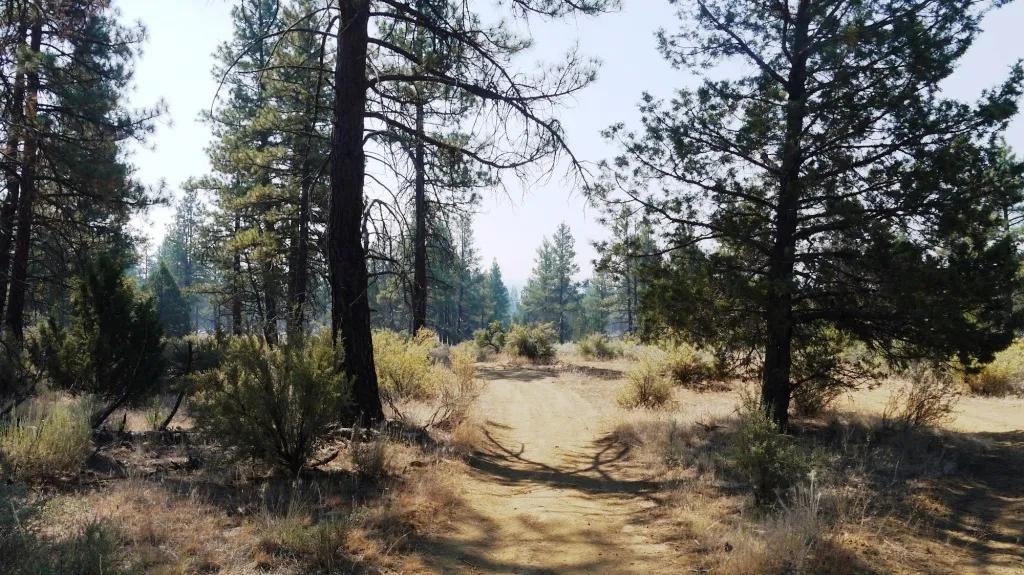Southern Oregon Sprague River - Trees - Power - Main Road Access
