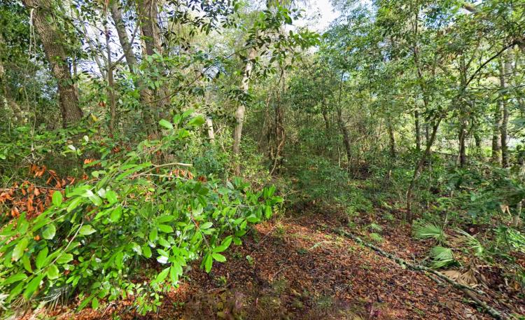 Private Level Wood Lot - 0.47 Acres