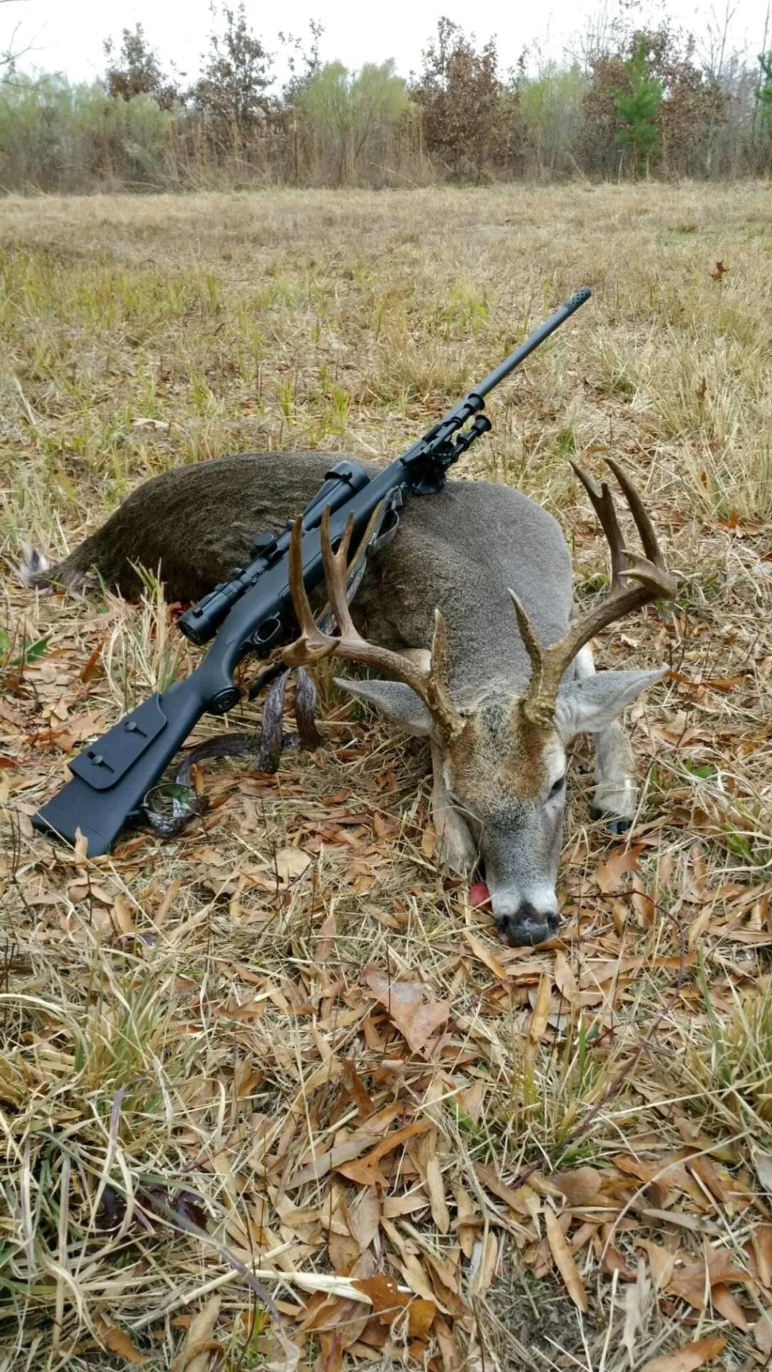 Boxelder Hunting Retreat