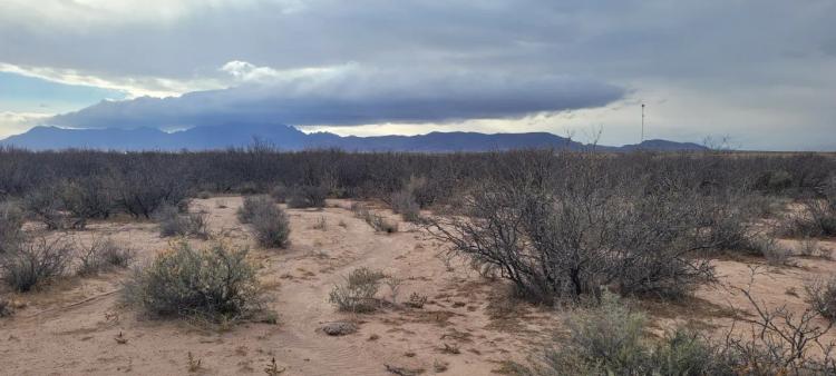 1 Acre Southern New Mexico Homesite - Mobiles, Modulars, Site-Builds ok