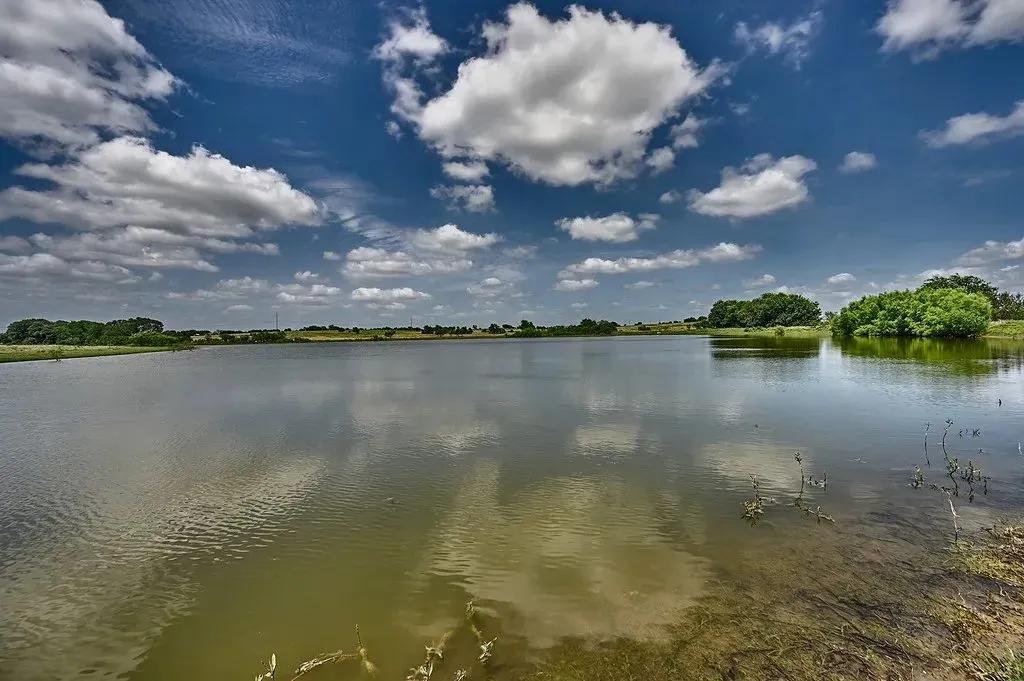 Premier Fayette County Ranch Estate | Weimar, Texas