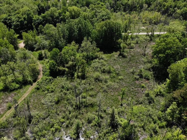 Very rare find 40+/- acre hunting parcel in Marcellus, MI.