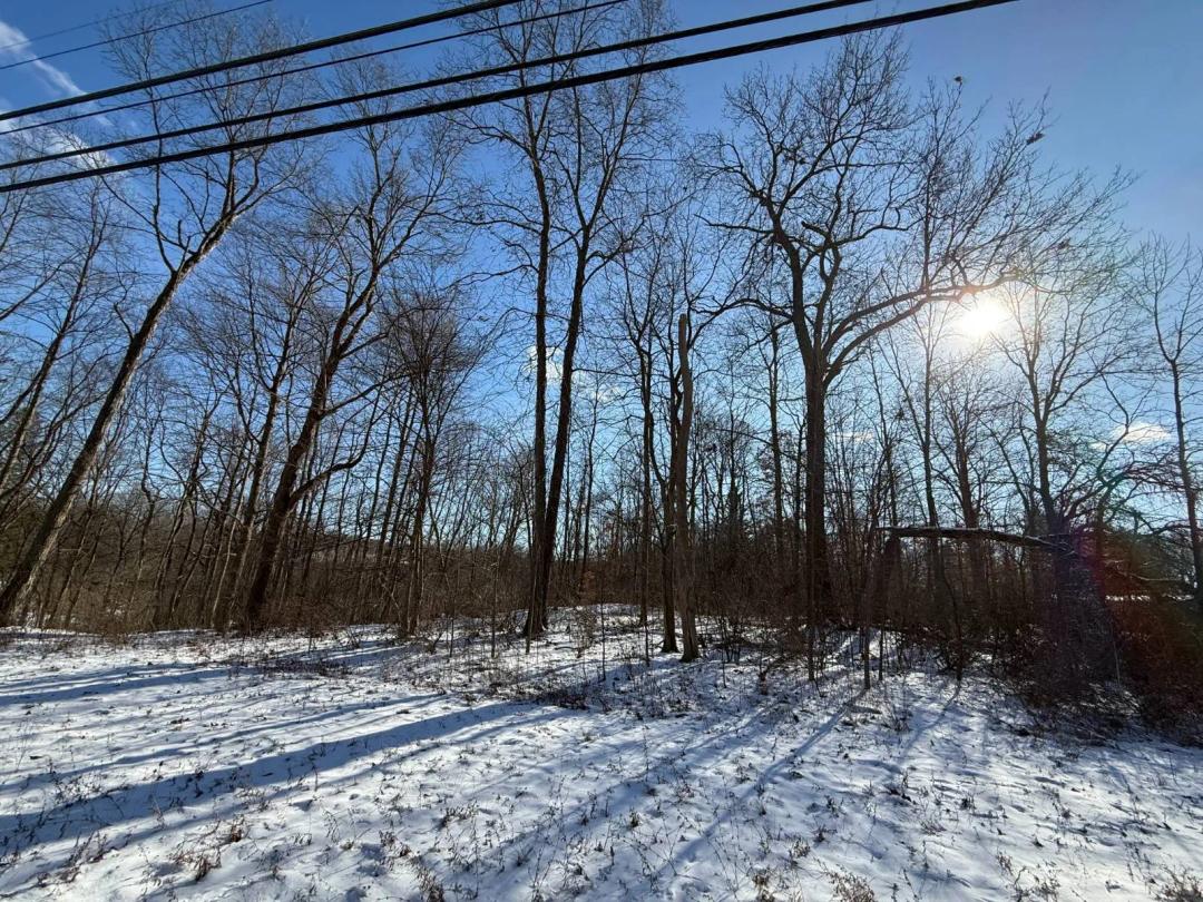 Prime Buildable Tract on Route 108 New Castle Road