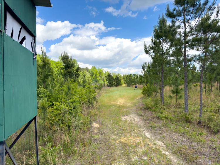 93 Acres Hunting Property with Pine Straw Lease