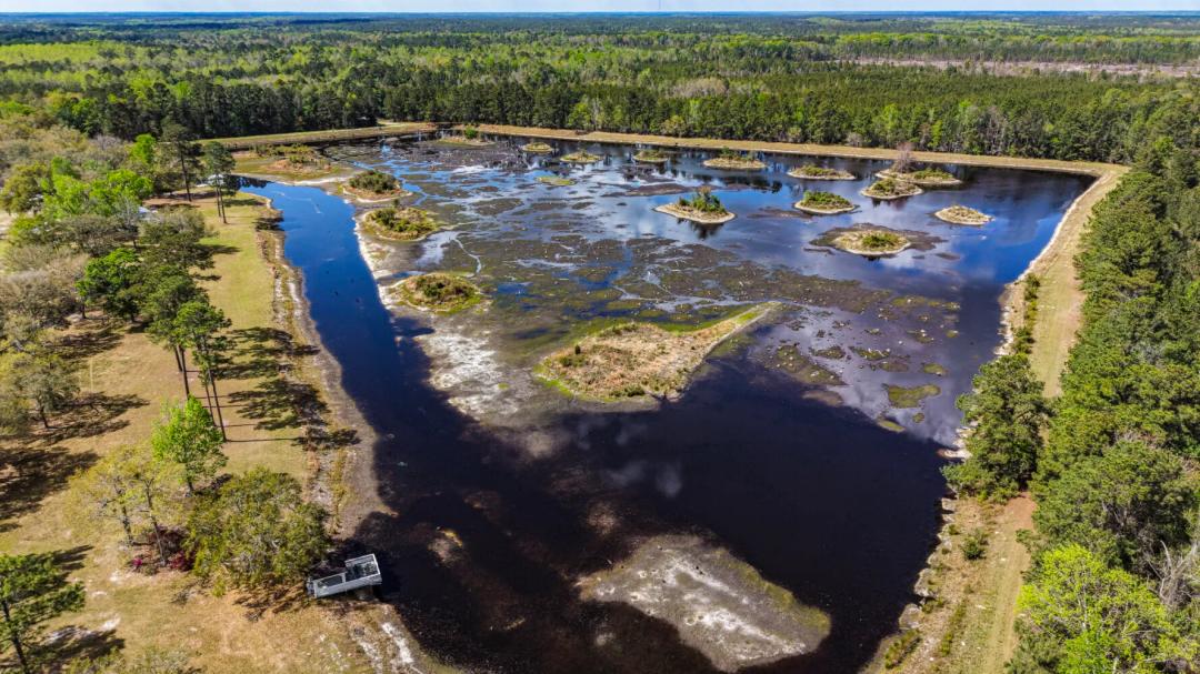 48.43 Acres at 1000 I G LANIER RD GA 31321