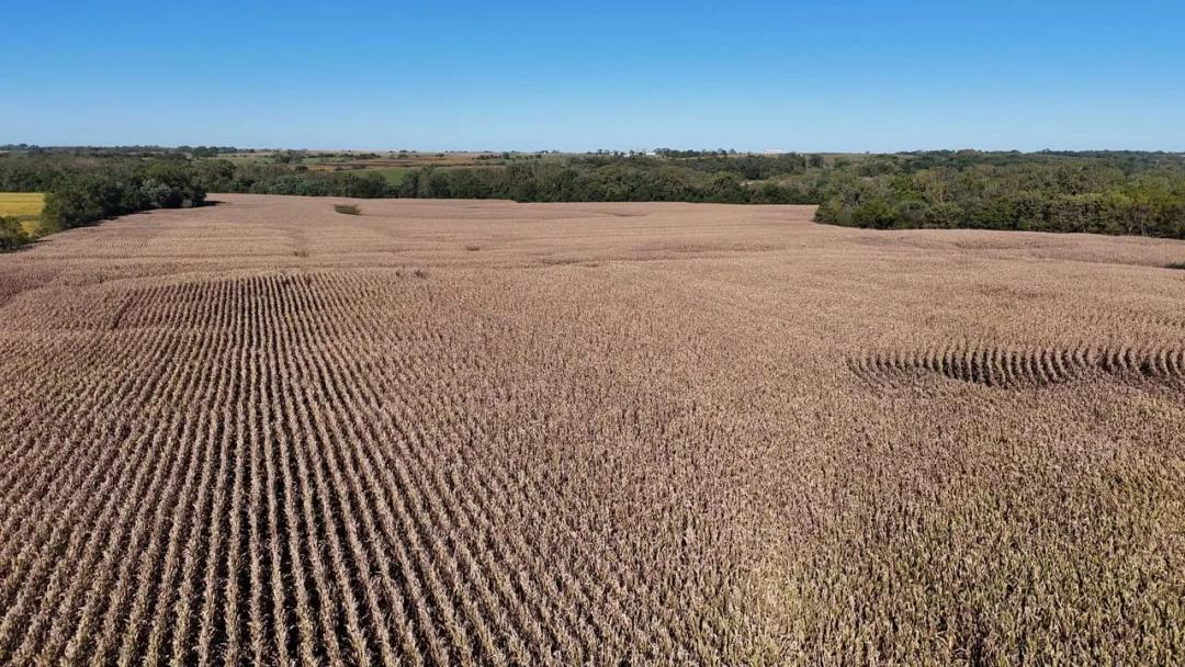 Listing #19853 - 83.32 acres in Ringgold County, IA