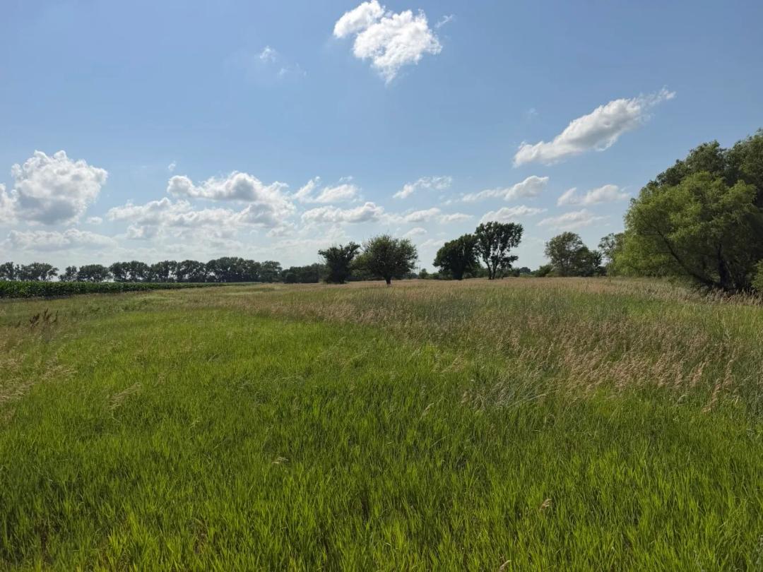 16.43 Acres at 1815 COUNTY RD 18