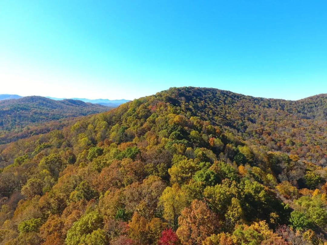 69 +/- Acres- Union County, Georgia